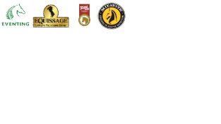 Sponsor